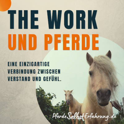 pferdecoaching thework byronkatie ibsr pferdegestütztescoaching glaubenssätzeauflösen pferdeherde naturcoaching achtsamkeitmitpferden selbstreflexion coachingbrandenburg pferderanch berlinumland innereruhe klarheitfinden pferdebeobachtung persönlicheswachstum seminarmitpferden